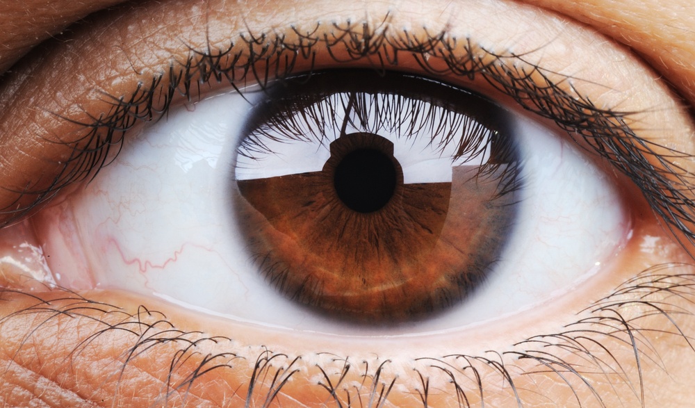 The Ten Best Ways to Improve Your Eye Health